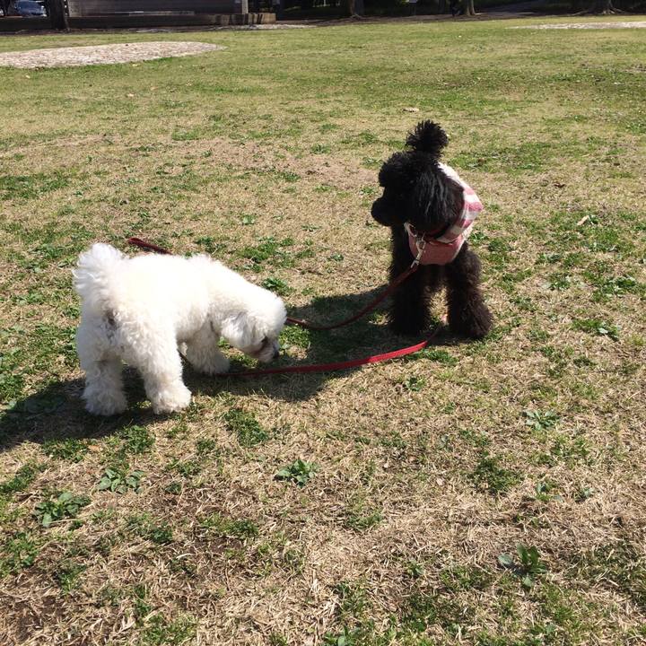 C3cd04ca 5105 4ca6 8df5 3f7b4caa9ffa 1521862474473