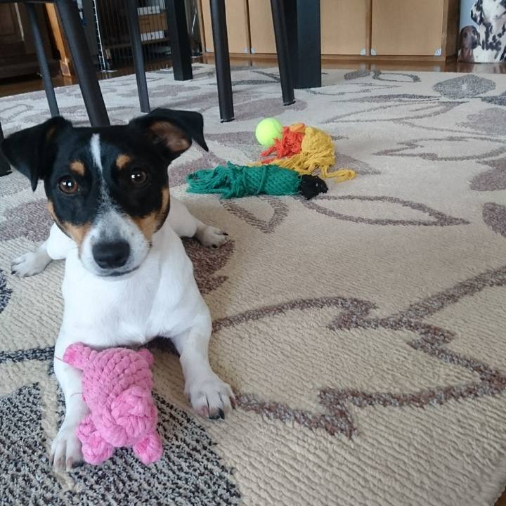 C3cd0555 59ee 4704 a74e 124c91ead215 1552894204280