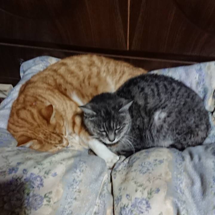 C3cd19e4 aa1b 4536 a479 73f5d748090c 1578920981949