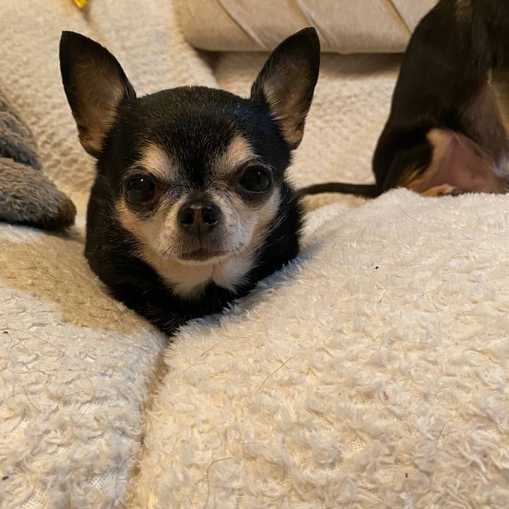 C3cd7aad 554c 4d3d addf 45f4b72d2a6a 1773820673792