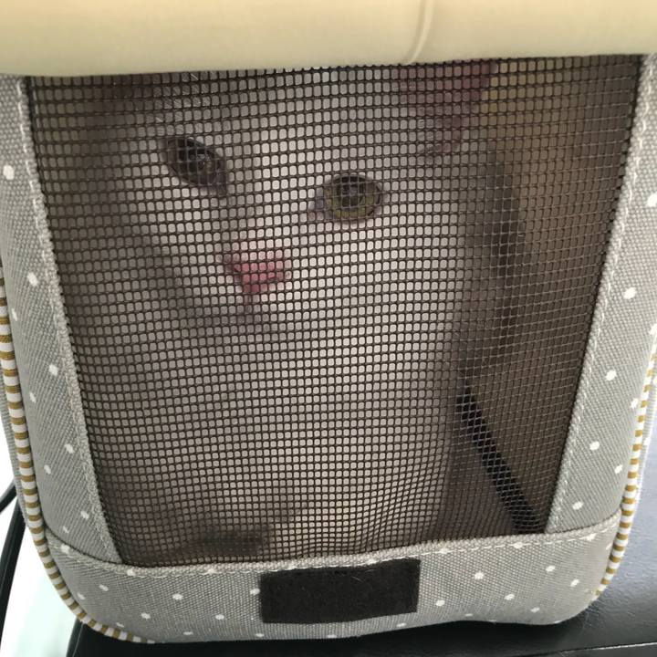 C3cda0c2 a595 4943 bf0d 3edc7cc114fd 1526873243669