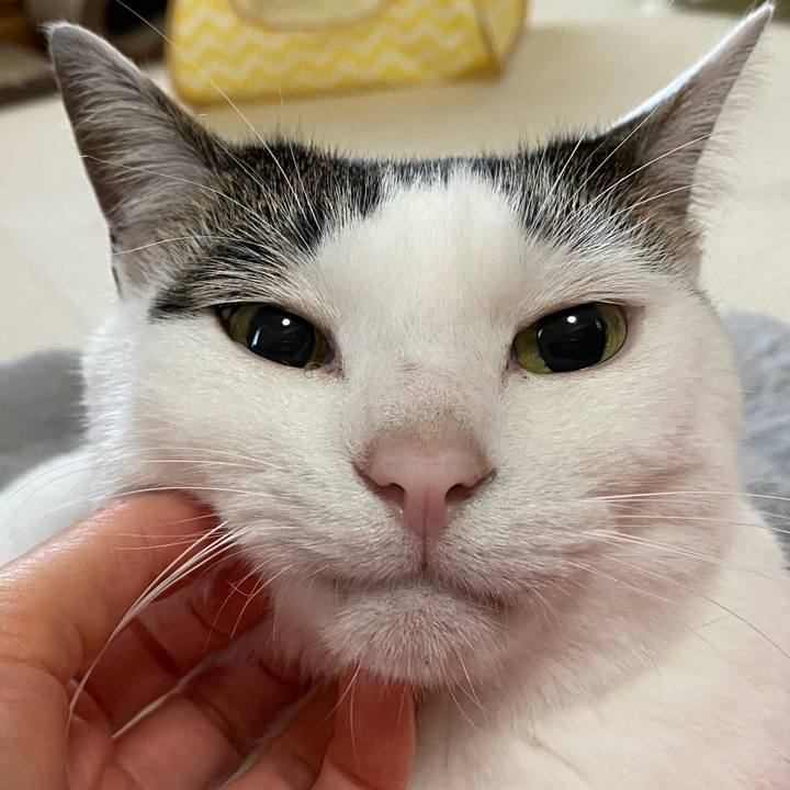 C3cdd419 1c32 4a46 ba8e 78f3395d37d8 1774858780475