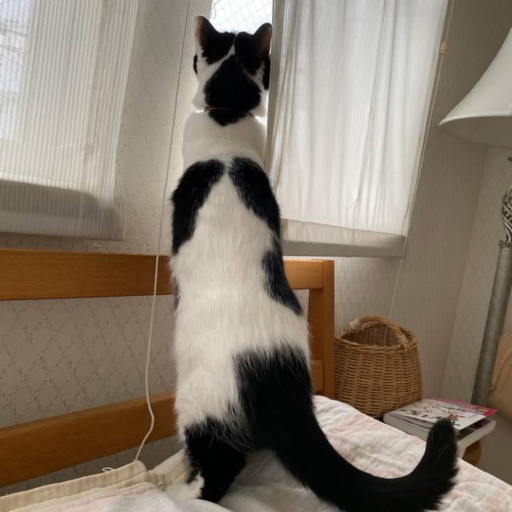 C3cddf31 60dc 47b6 9e68 1edfb08f487b 1771455881532