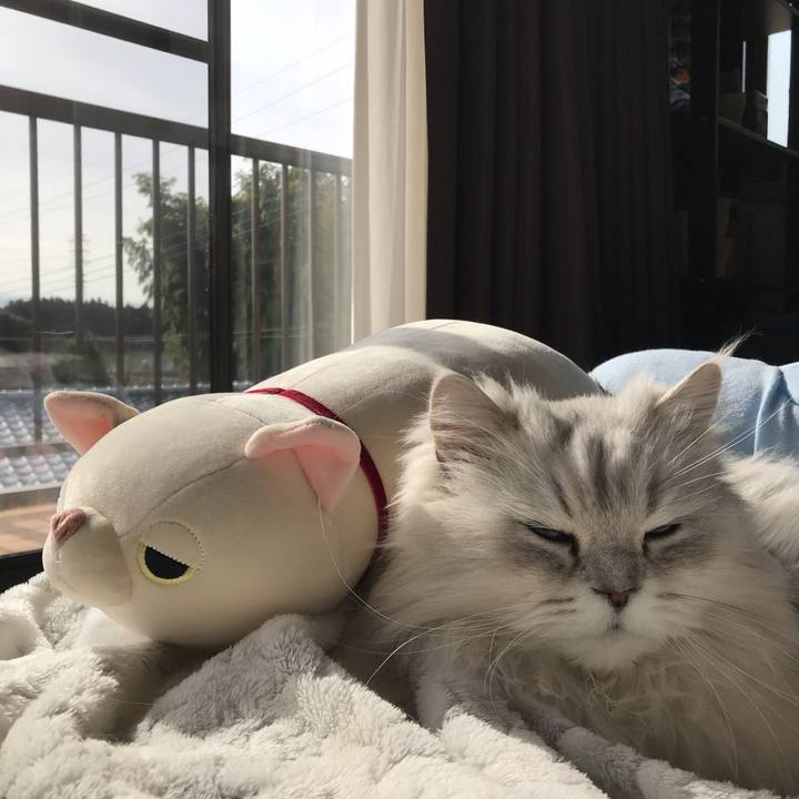 C3cde8a8 fb39 41ee 87fe 95db17c79fd3 1581391700206