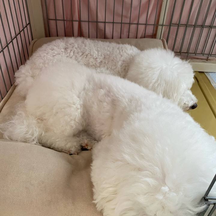 C3ce548b 5444 4376 b7e9 6b219ac75b04 1662077112065