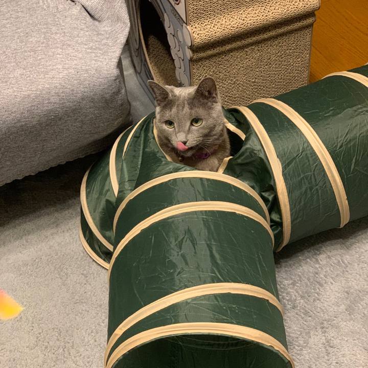 C3ce775a 4647 4289 a7b4 aa3fc15314df 1658090021540