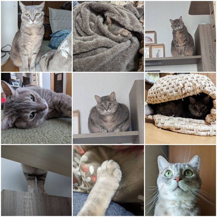 C3ce8648 0620 4c9d 8e1c 5368668f8595 1713778949398