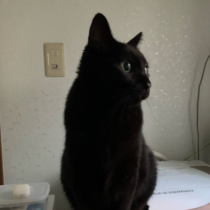 C3ce8fc2 9790 4e17 8006 b93d399c8c38 1573175388017