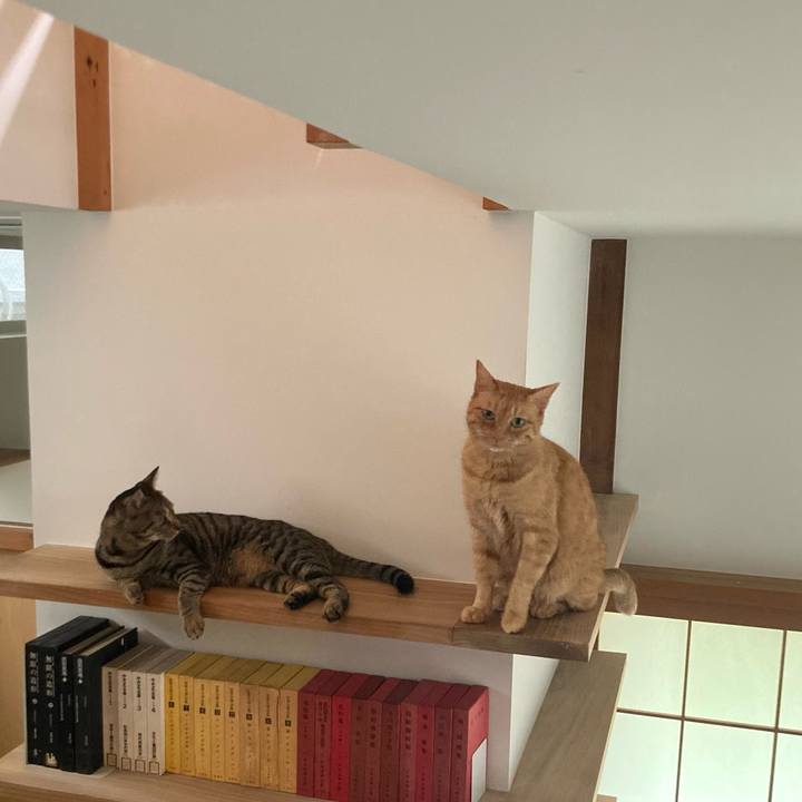 C3cebb91 b4cd 4b55 848e 36674a41d29b 1688857199391