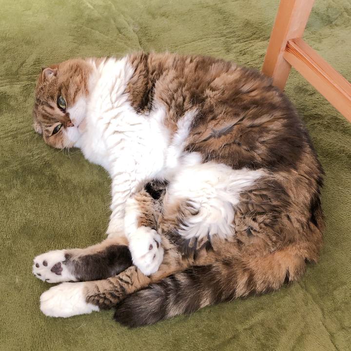 C3cec318 12ad 48fe 9fa5 eff467874bfb 1623380335027