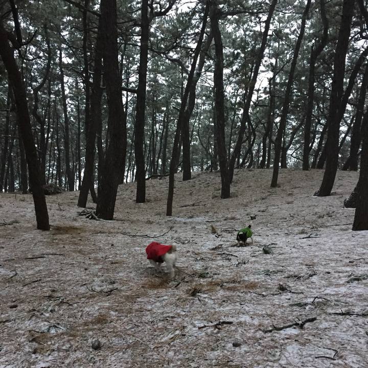 C3cec60a c27f 4151 88d5 5c66ccf29592 1514248614634