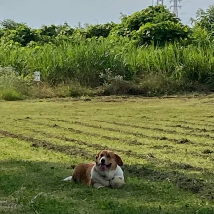 C3cee327 d225 42c6 92e6 81075bbbcff8 1687482692808