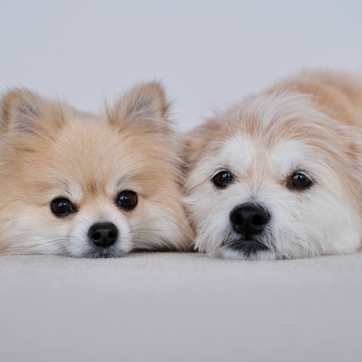 C3cf015a 24b5 4ba1 9558 3395e638bd27 1773611488150