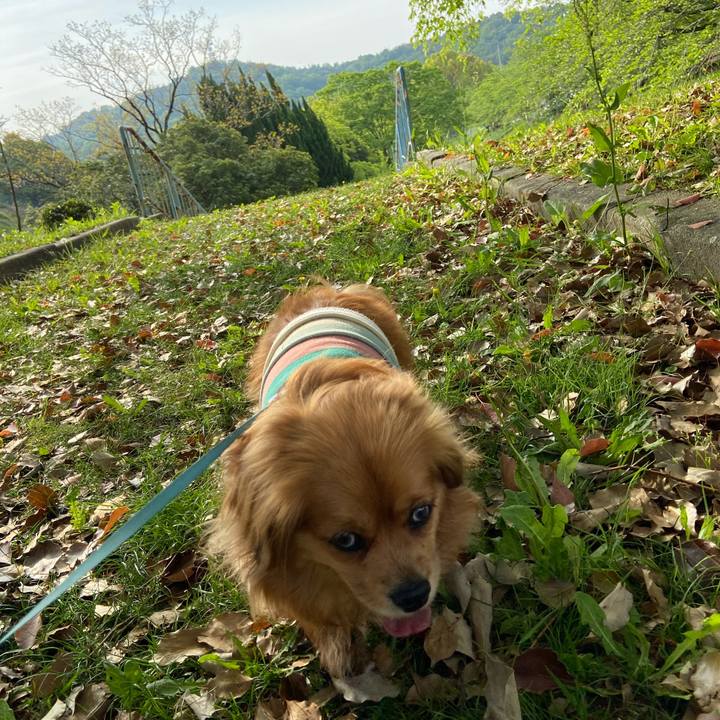 C3cf0b3a 9d74 4558 bf72 3935e7ea6767 1619308645951