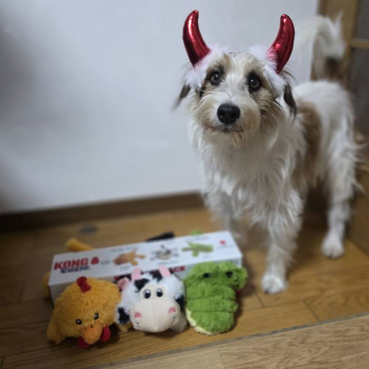 C3cf13c7 f8f4 4c84 87ec 0e90b6c75085 1761909362386