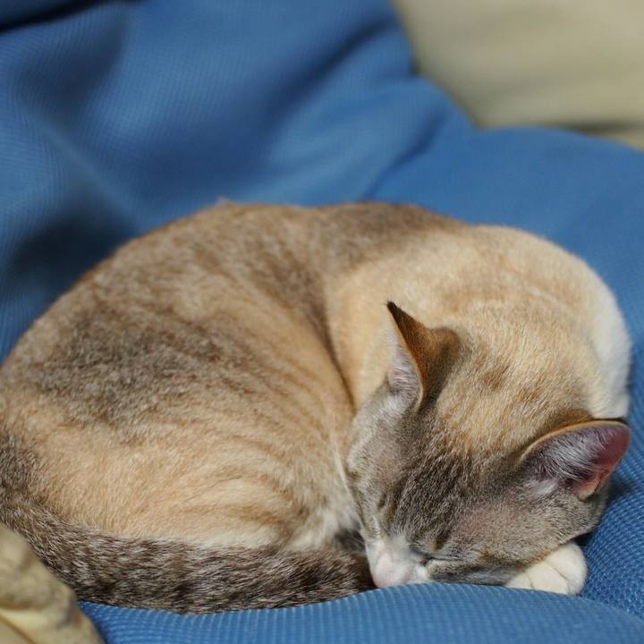 C3cf3ca5 1360 4794 8338 64603f530c4c 1523280039791