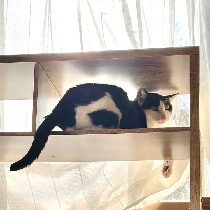 C3cf7841 79b3 4ce6 b665 d15a65fede07 1700446513084