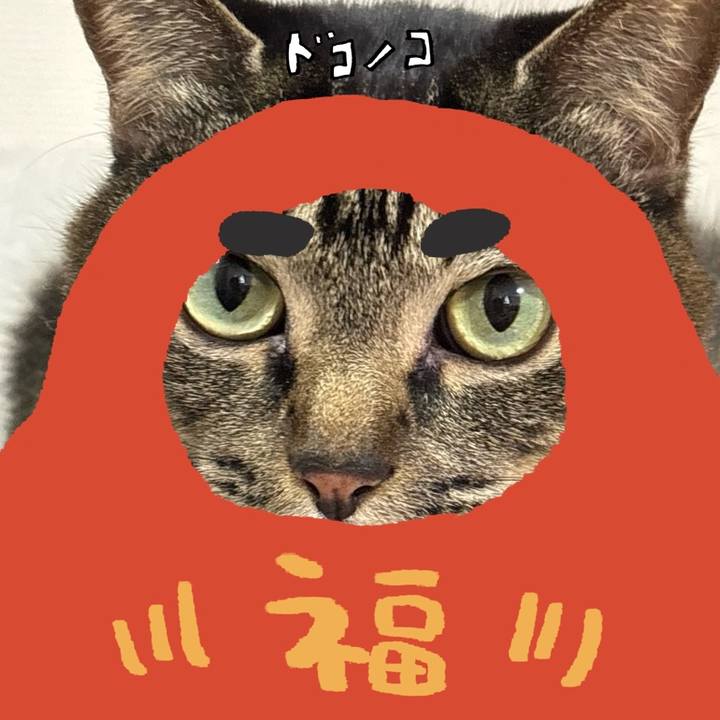 C3cf8621 2f5e 4558 8a1d b6b06b171b96 1771894912291