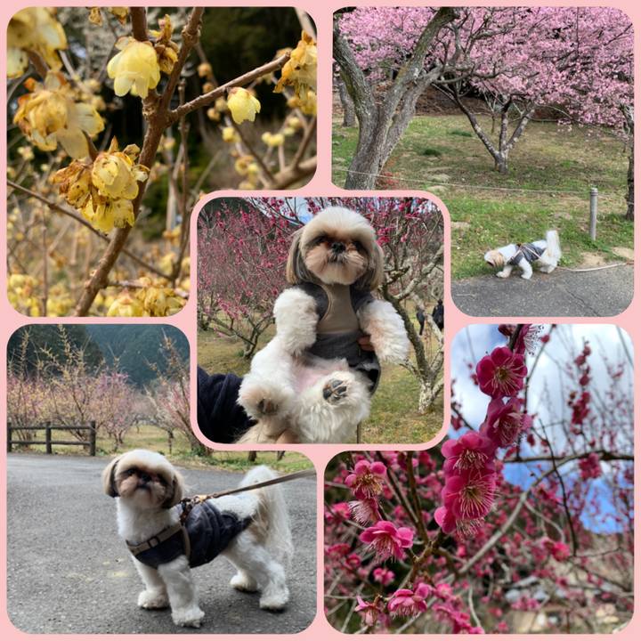 C3cfc930 e745 4104 b450 0bb6fc4ffac4 1613287587539