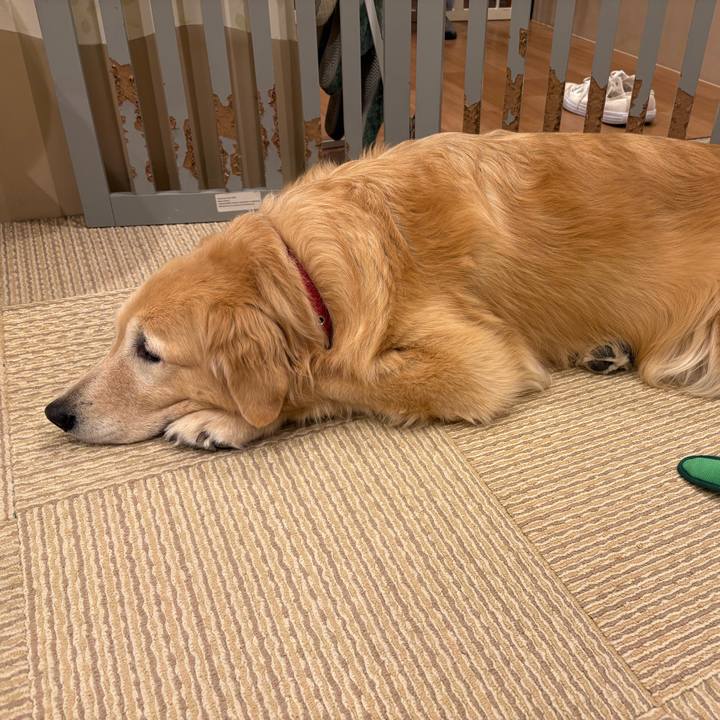 C3d03381 8aef 44ce 802a 2a6926d2c44d 1761859801837