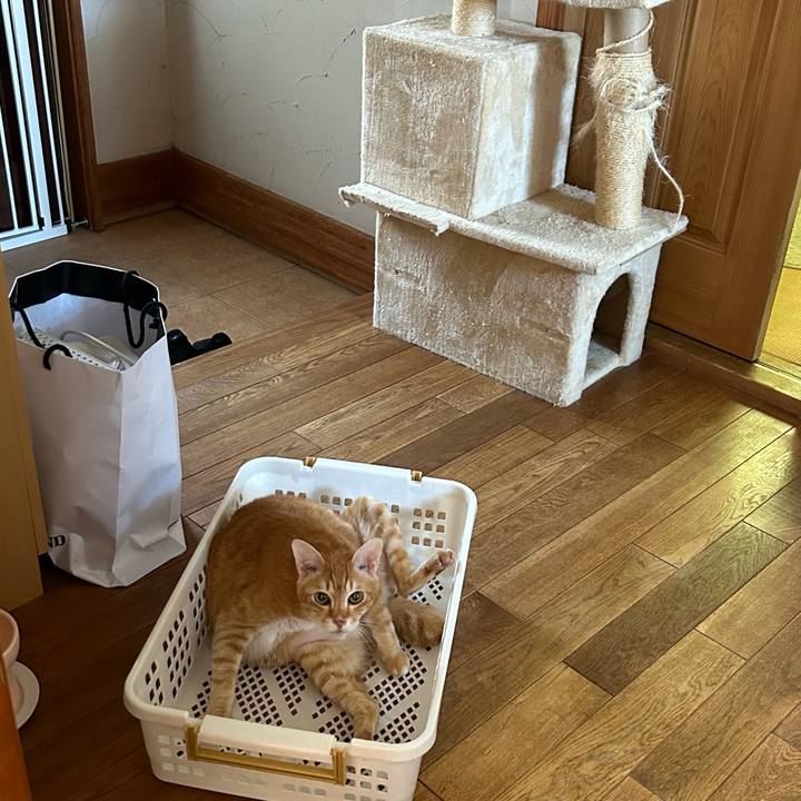 C3d03bc9 3f7d 4647 ba55 85c1730beb7a 1688431017651