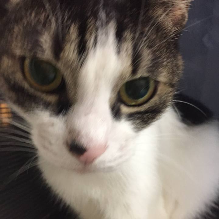 C3d03d7a 37da 40fc ba6e e397e5572068 1539091689274