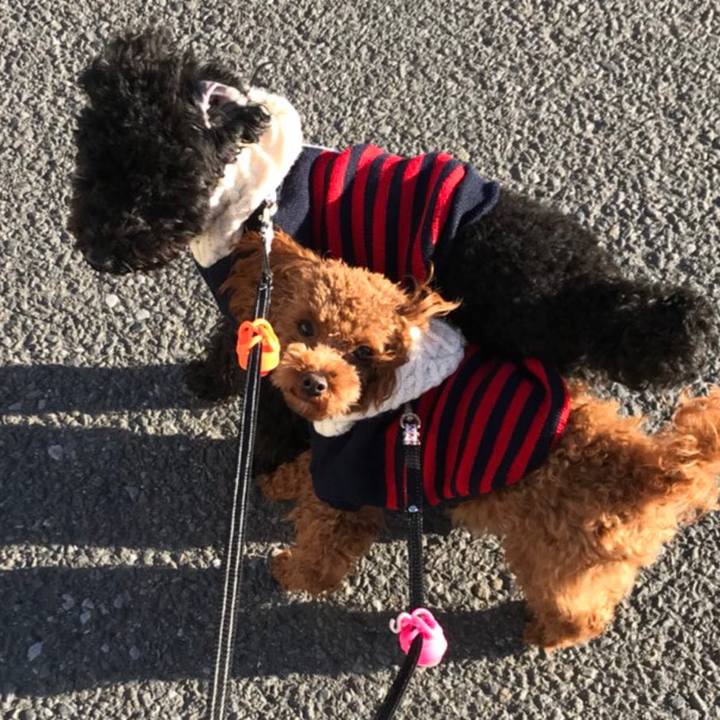 C3d046f0 8b9c 45d4 8d18 e78aa79f7a63 1515581985499