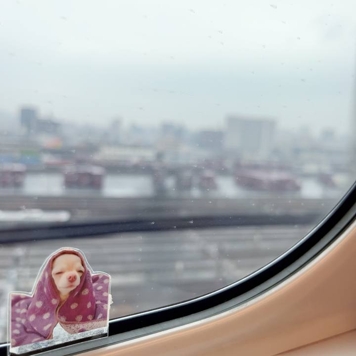 C3d0ac00 ab76 4196 ad6b adf58c1182d6 1711159369359