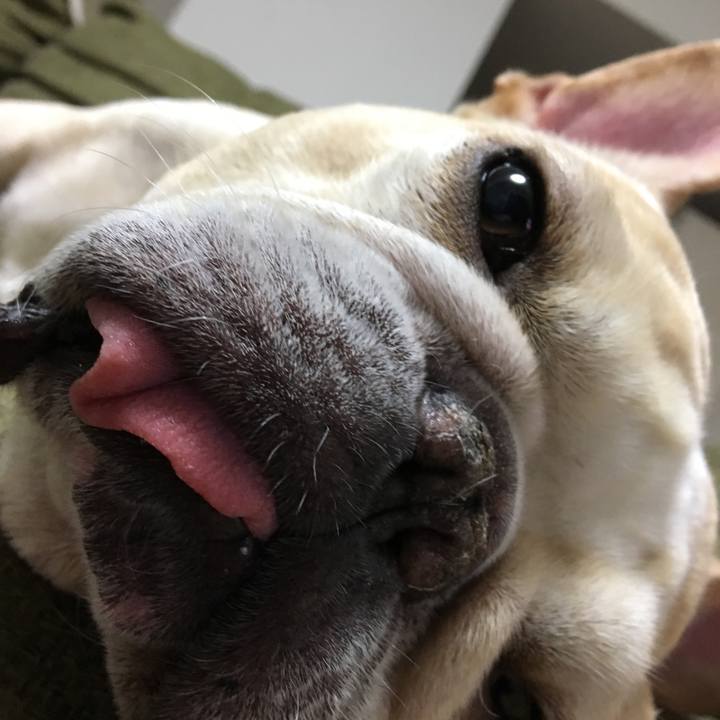 C3d0b22d 3dde 4f69 a17f 07ce5ec685a8 1510838784315