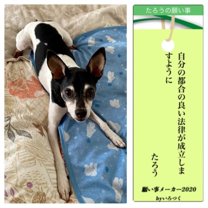 C3d0b35e e5fe 4024 adcc 5960858d29ad 1594073753118