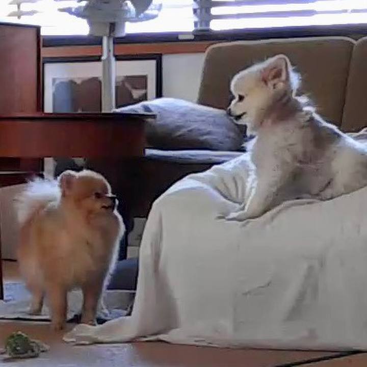 C3d0ef3b 5530 44d4 aa5e cd47d18d8374 1682982415206