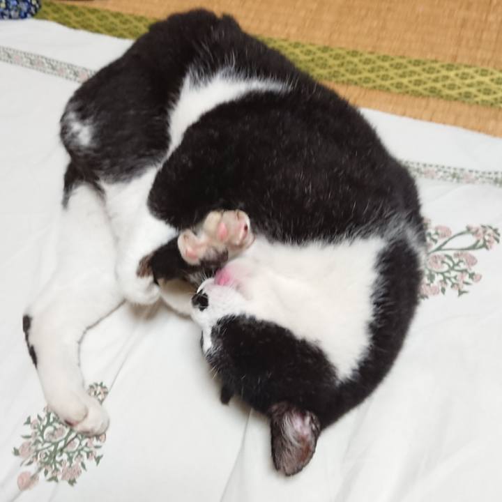 C3d1090c 58ba 4f7a 80fc f21168002d59 1625824777752