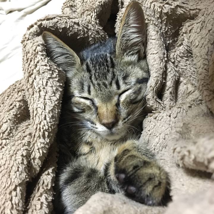 C3d11e5c b48e 4662 9aeb 5fde9db38c05 1537189206929