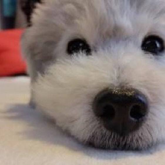 C3d12a8a d65e 47f8 8a6d f364e18c1e3c 1710753998626