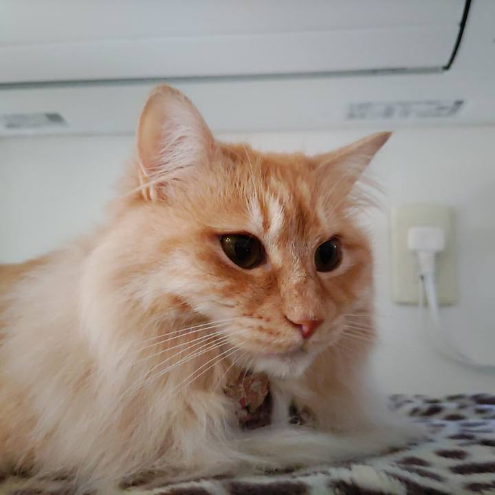 C3d190d2 6673 44c3 b751 8315b35276e9 1684275427779