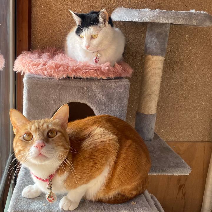 C3d19f65 5b5a 49ad 9017 b52fdc79eda6 1644906513543