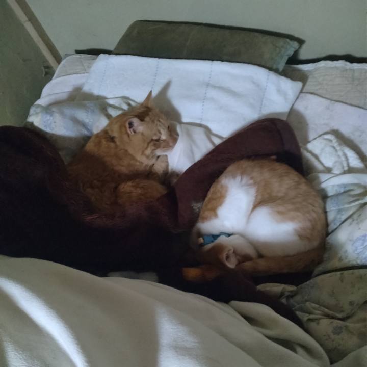 C3d1c7dc 6082 4fce aebe 67a965b29ba7 1732923824288