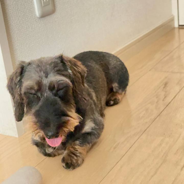 C3d1ebb2 b1a3 499f ad9c 064ed9e27593 1628090407613