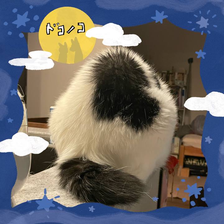 C3d25e34 6654 48e8 9ad3 bd5d2ba5c4a3 1726841312810