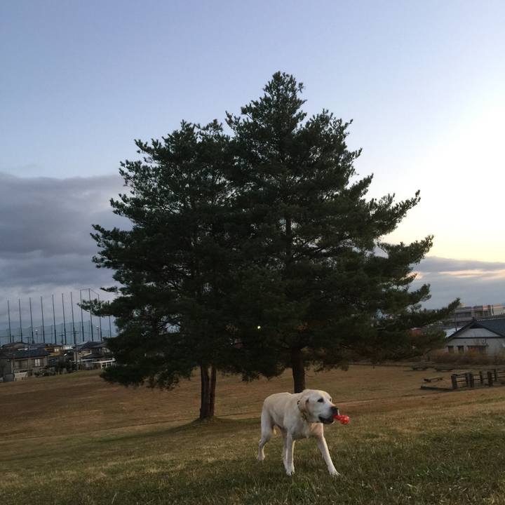 C3d28910 e0e4 4288 aadd 9796978dbb7b 1512338689047