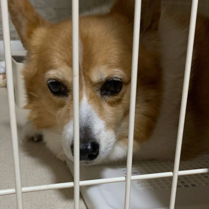 C3d2975a 0a08 4fda 9404 200a2425f195 1718373406792