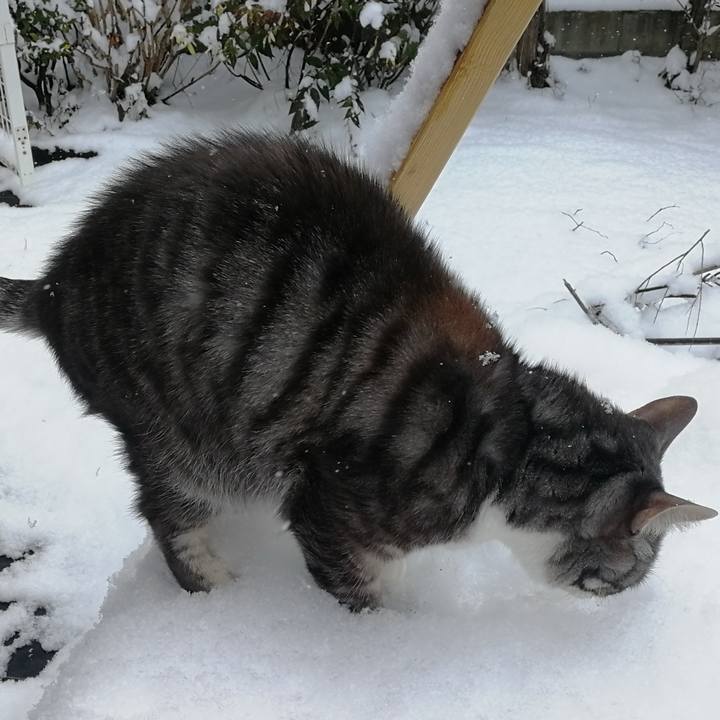 C3d2b71c 676f 483f 98a6 a0a391654288 1770554178771