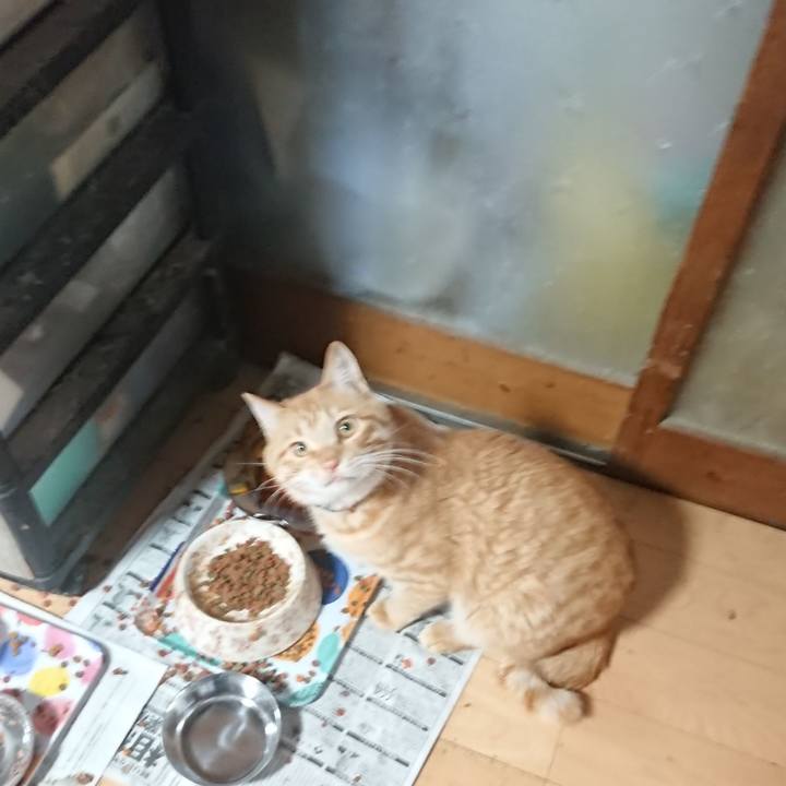 C3d2b871 dde5 4046 933c bba11943a5d1 1651494775666