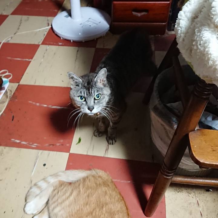 C3d36905 b558 4f02 a6b5 f0e2253891e4 1592164144809