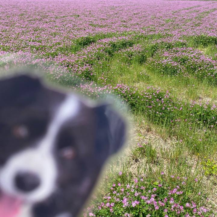 C3d37afb f84d 4418 827f 2957c2280b06 1745032402076