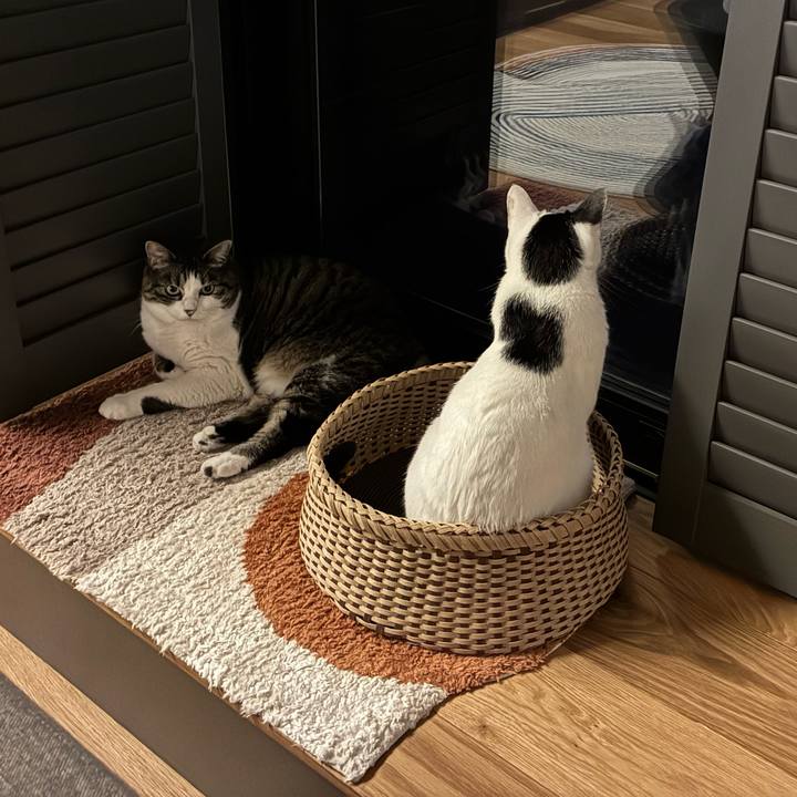 C3d3a495 d074 49f7 8668 6fe57d4a87b5 1756428316209