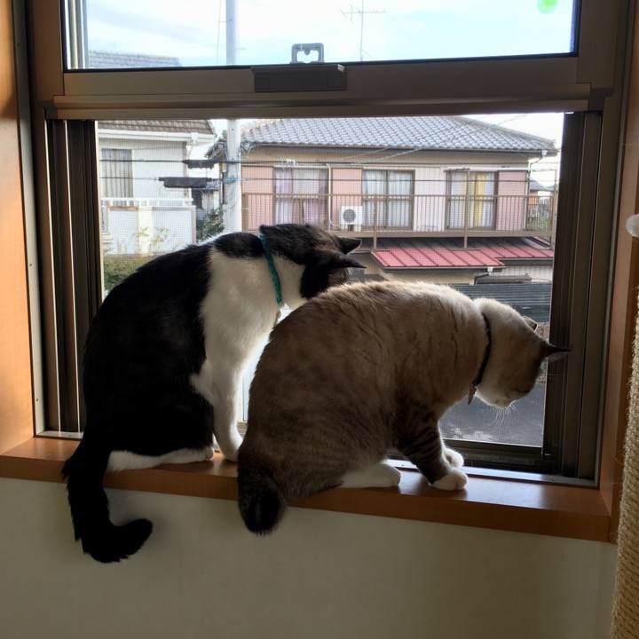 C3d3e6a2 96d9 469e a944 2b1ca39912ca 1539907903789