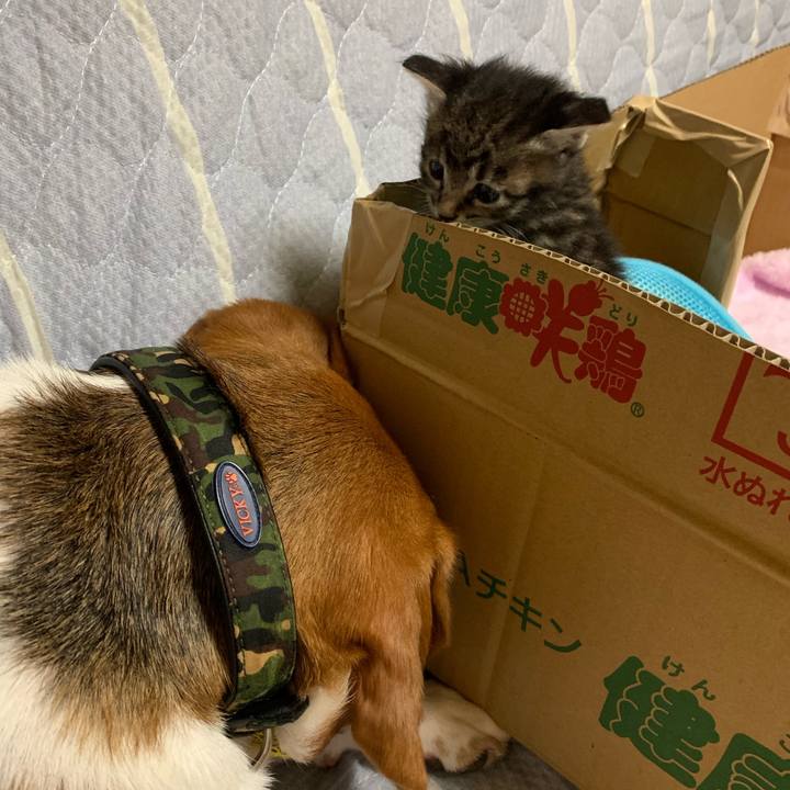 C3d4460b a801 42e6 9654 cd6242c9ef29 1563804355355