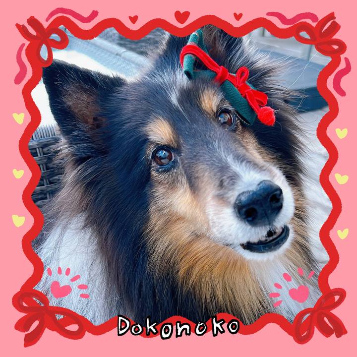 C3d44f08 bc3e 4c5c 8055 b0ab0b8abd6c 1706899608579