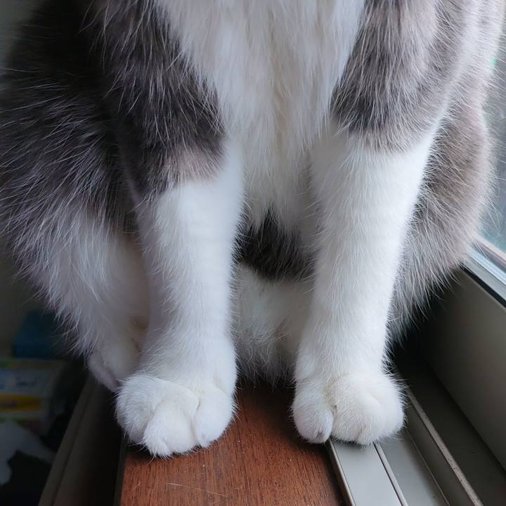 C3d4b46a 6e02 4982 bdc0 3af92c6049c4 1708827085025